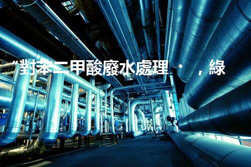 “對苯二甲酸廢水處理，綠色創(chuàng)新引領環(huán)保新篇章”